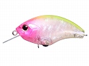 Abalone pink clown