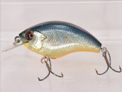 American sunfish