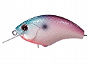 Aurora shad