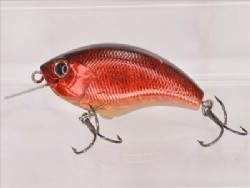 Bloody shad