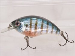 Blue blue gill