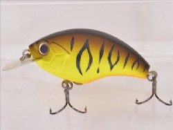 Chart brown tiger