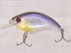 Ice shad