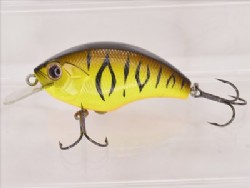 OSP tiger