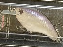 Pearl shad