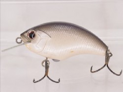Purple shad