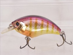 Purple gill