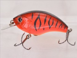 Red tiger