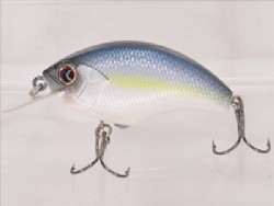 Sexy shad Ver. 2