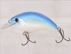 Sky blue shiner