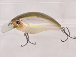 Tasty shad