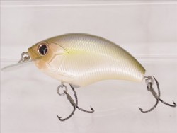 Tasty shad bone
