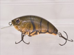 Wazaari