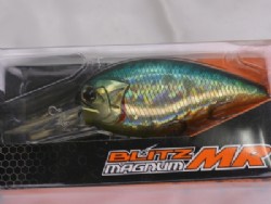 American sunfish (#H-03)