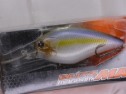 Tasty shad (#P-23)
