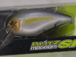 Tasty shad