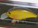 Mastard sunfish