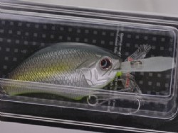 GS jade shad chart belly