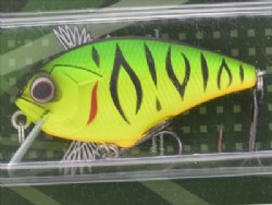 Mat tiger