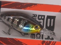 Uroko holo chigill