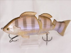 Baby gill