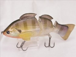 Young blue gill