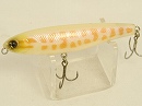 Albino raigyo