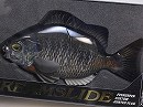 Dark side bream (#633)