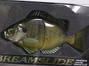 Grass bream (#640)