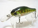 Blue gill