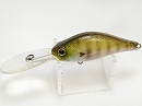 Ghost gill