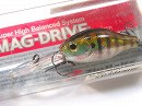 Blue gill