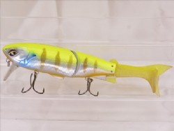 Chart gill