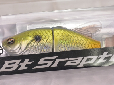 SHIMANO / BANTAM BT SRAPTOR | IchibanTackle.com SHIMANO / BANTAM BT SRAPTOR | IchibanTackle.com
