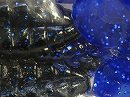 Black / Blue (#934)