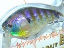 Aluminium CF ghost gill