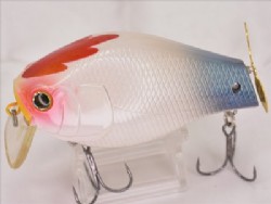 Mohican cook (Prop tail)