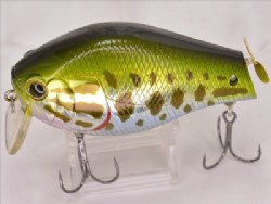 T Largemouth bass (Prop tail)