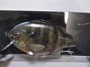 R Bluegill (#01)