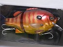 Red gill (#06)