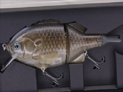 Luminous carp (2023 limited color)