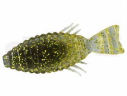Golden shiner (#22)