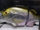 Metallic baby gill (2014 Member limited) (Silent model)