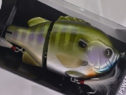 Standard gill (2015 Member limited)