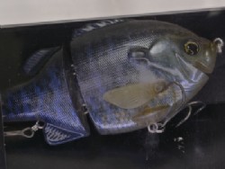 Regatta blue (2017 limited model) -High Floating