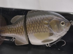 Kinbuna (2019 limited model) -Slow Sinking