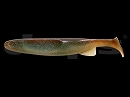 Dead shad (#19)