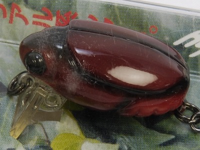 Kabutomushi (Beetle)
