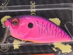 Burning pink tiger