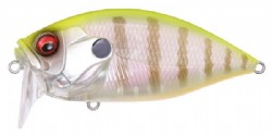 PM chart back gill